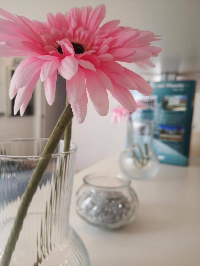 Apartamento Rosa Puerta Del Sol Apartment Madrid Ngoại thất bức ảnh